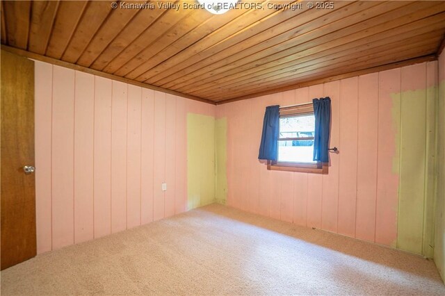 356 Joes Rd, Bomont, WV 25164 - carpeted spare room with wood walls and wooden ceiling