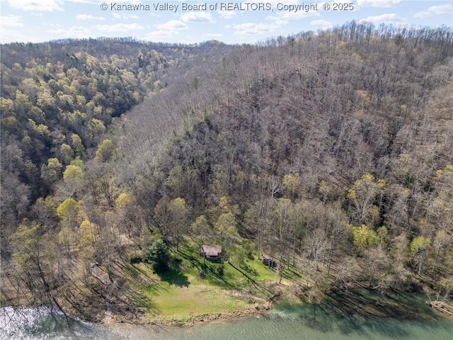 bird's eye view with a view of trees
