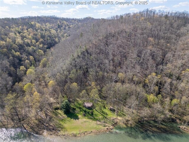 356 Joes Rd, Bomont, WV 25164 - bird's eye view with a view of trees