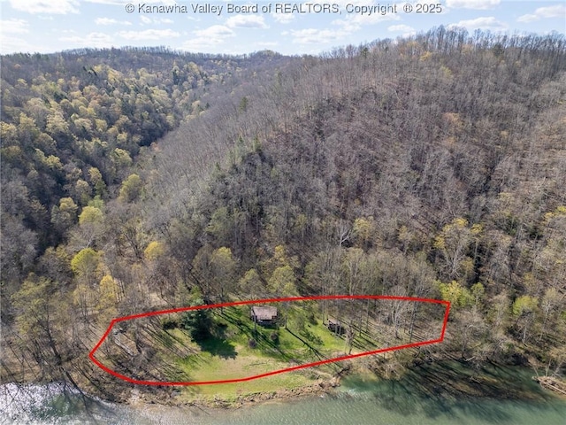 drone / aerial view featuring a view of trees