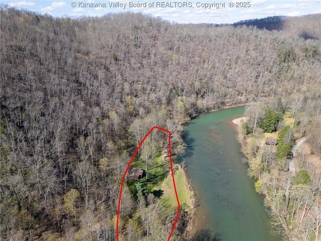 aerial view featuring a forest view and a water view