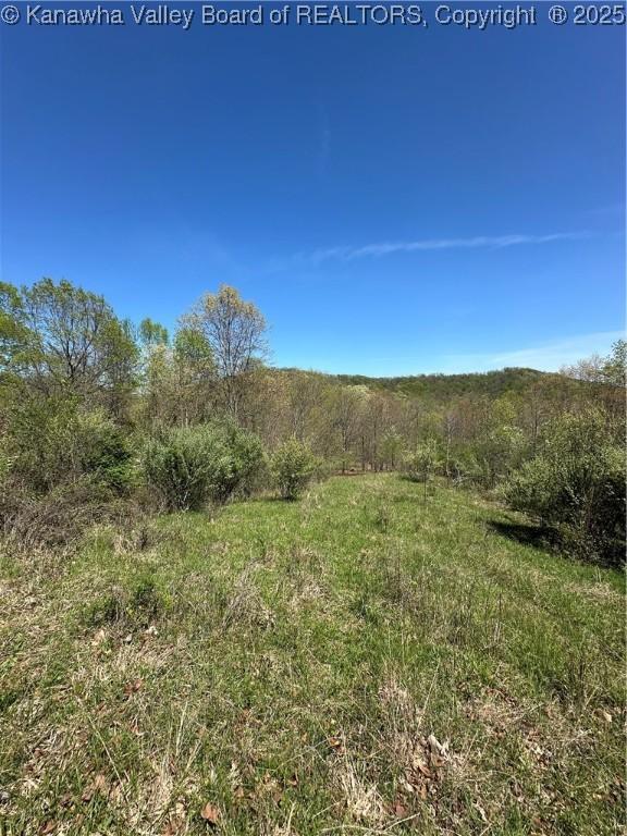 LOT4 Lucky Ln, Alkol, WV 25501 - photo 1