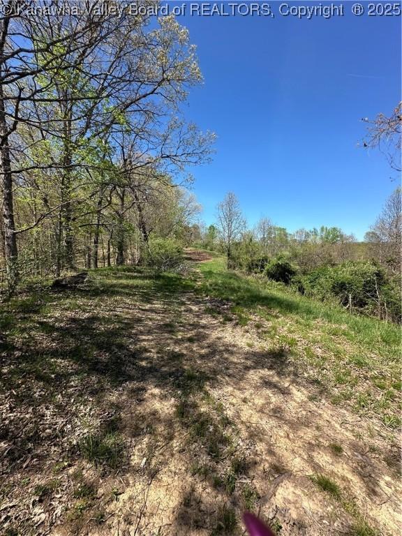 LOT4 Lucky Ln, Alkol, WV 25501 - photo 2