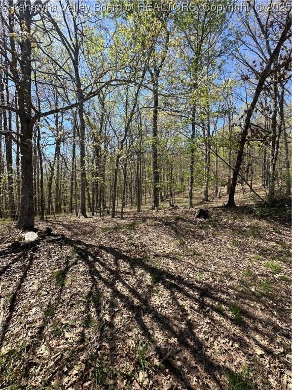 LOT4 Lucky Ln, Alkol, WV 25501 - photo 3
