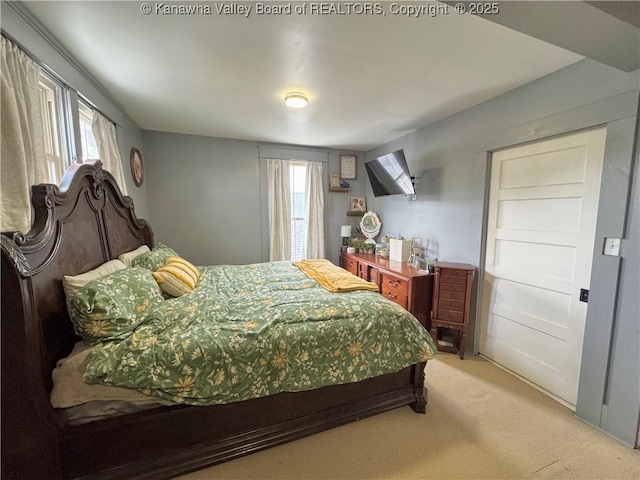 2206 Jefferson Ave, Point Pleasant, WV 25550 - bedroom with carpet flooring and multiple windows