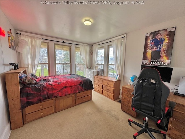 2206 Jefferson Ave, Point Pleasant, WV 25550 - bedroom featuring carpet flooring