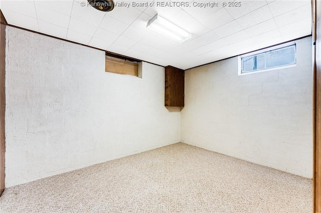 below grade area with carpet floors