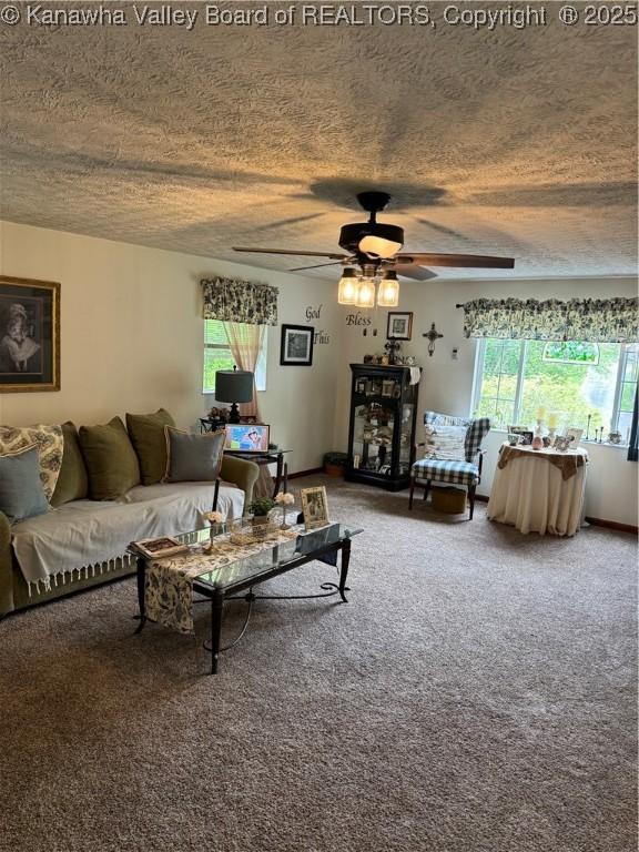 12376 Elk River Rd N, Clendenin, WV 25045 - carpeted living room featuring a ceiling fan and a textured ceiling