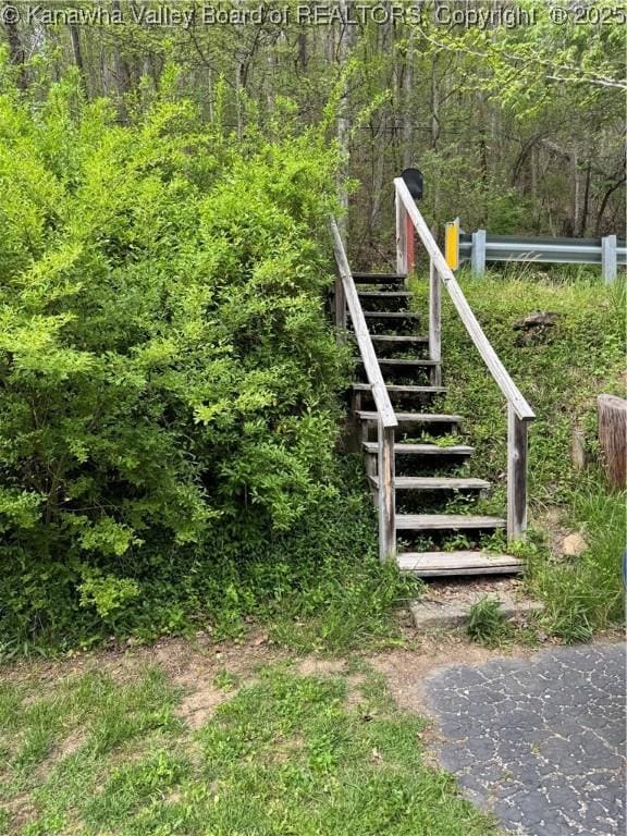 12376 Elk River Rd N, Clendenin, WV 25045 - exterior view of stairs and a forest
