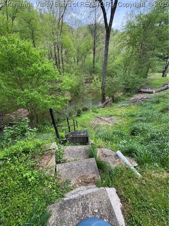 12376 Elk River Rd N, Clendenin, WV 25045 - view of yard featuring a forest view