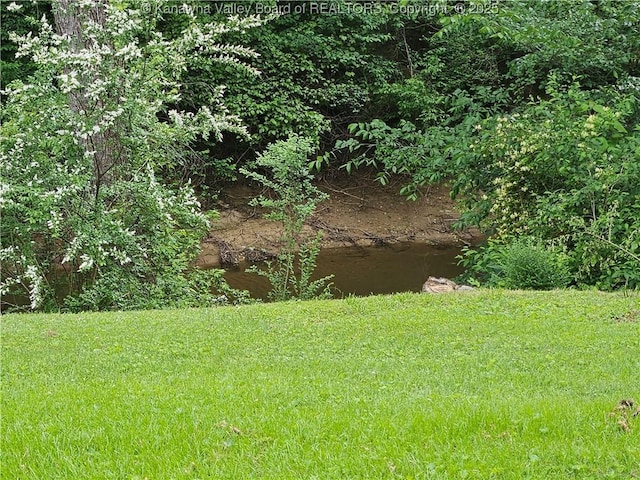 12376 Elk River Rd N, Clendenin, WV 25045 - view of grassy yard