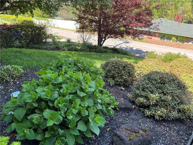 207 Mckinley Ave, Charleston, WV 25314 - view of yard