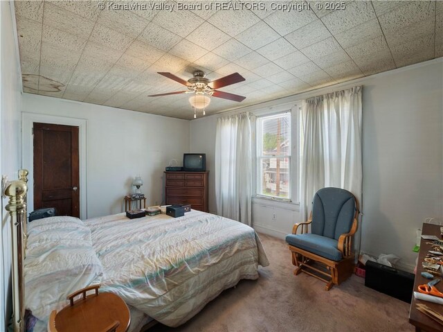 54 Hunt Ave, Charleston, WV 25302 - bedroom featuring ceiling fan and carpet floors