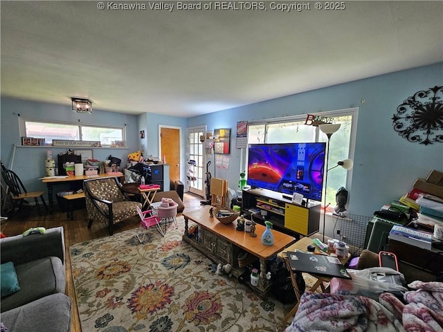 living area with wood finished floors