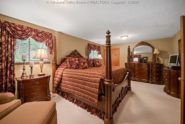 bedroom with a textured ceiling and carpet flooring
