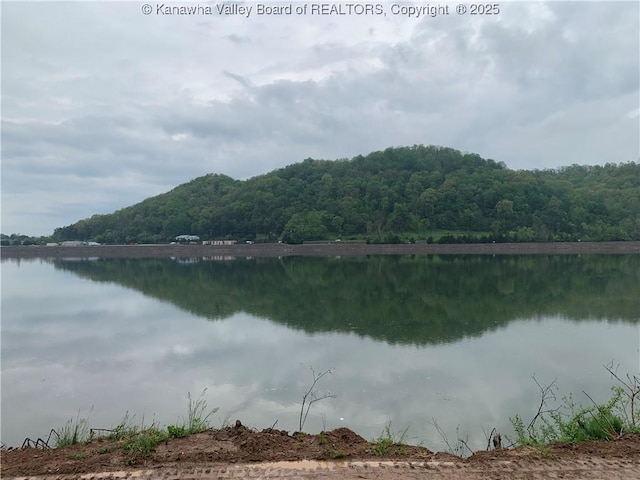 property view of water featuring a view of trees