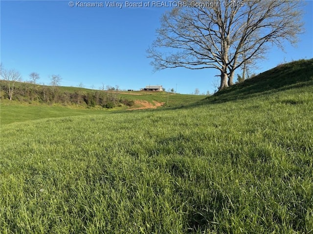 view of yard featuring a rural view