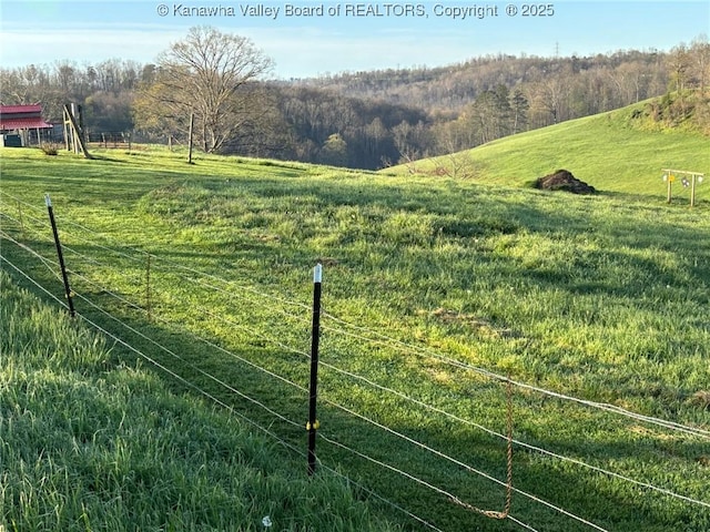 view of yard featuring a rural view and a wooded view