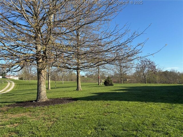 281 Windy Ln, Liberty, WV 25124 - photo 24