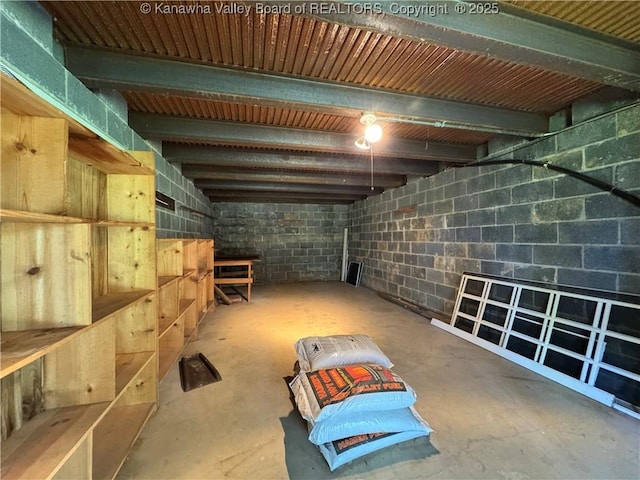 168 Jane Dr, Culloden, WV 25510 - below grade area with concrete block wall