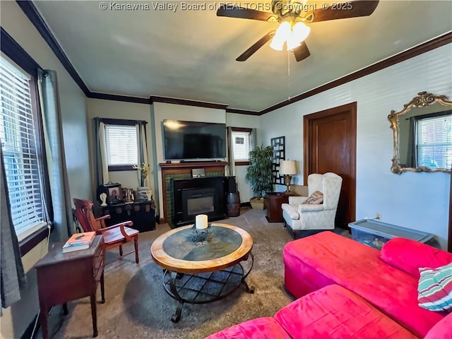 carpeted living area with a ceiling fan, ornamental molding, a glass covered fireplace, and a wealth of natural light