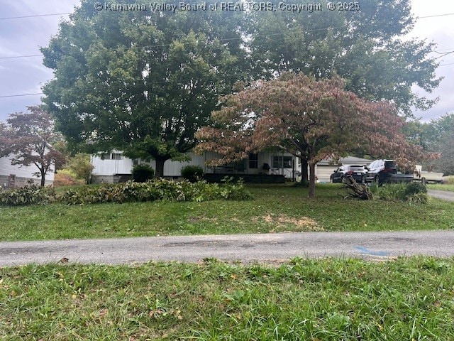 117 Rodney Ave, Wilderness, WV 26679 - exterior space with a front yard