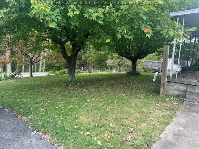 117 Rodney Ave, Wilderness, WV 26679 - view of yard