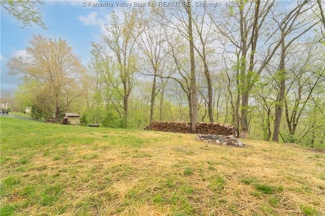 view of grassy yard