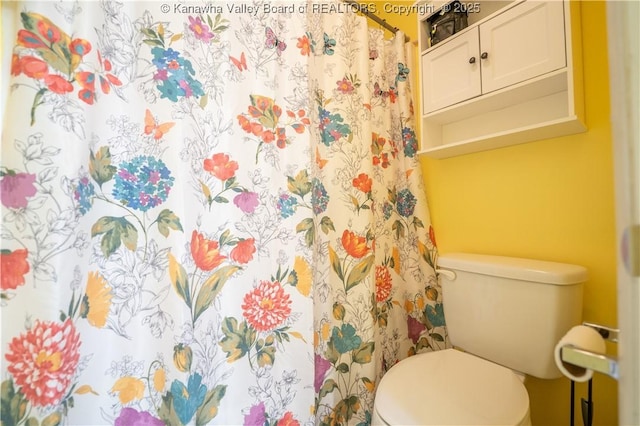 bathroom with toilet and a shower with curtain