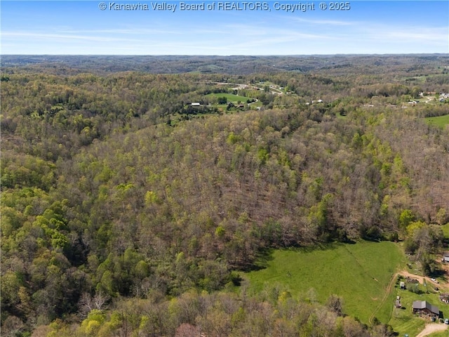 bird's eye view with a forest view