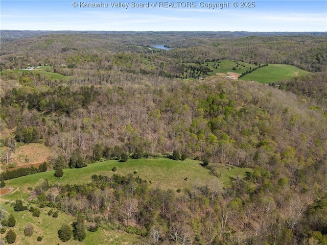 drone / aerial view with a forest view
