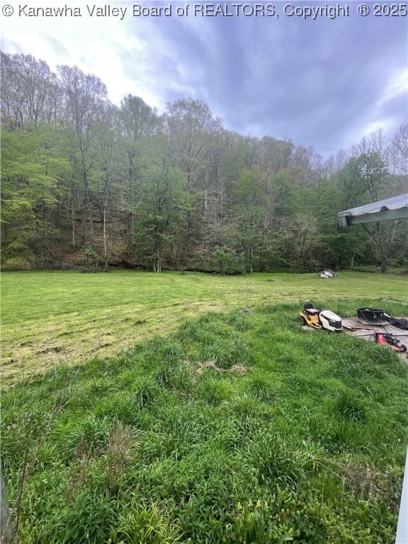 view of yard with a wooded view