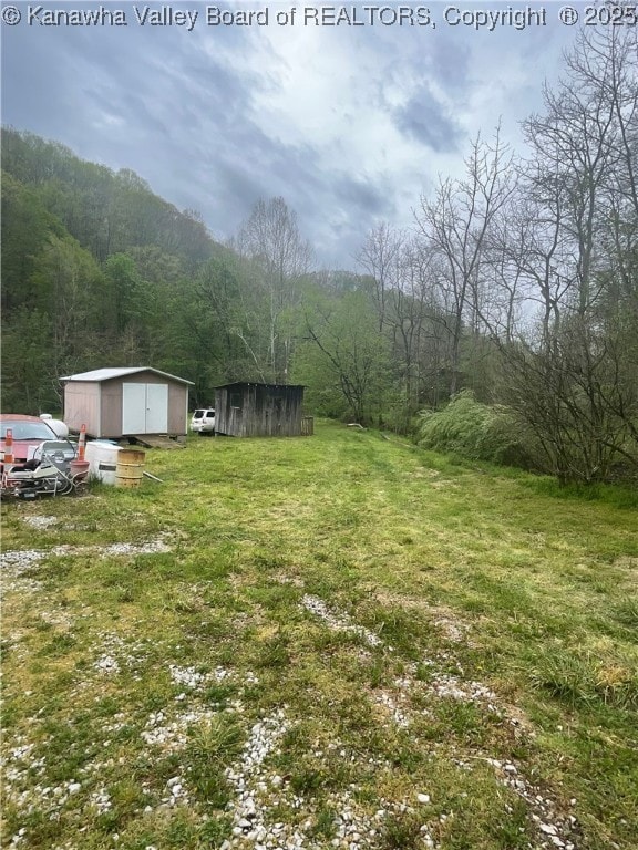view of yard featuring an outdoor structure, a shed, and a forest view