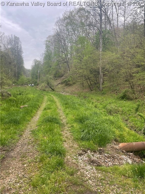 view of road featuring a wooded view