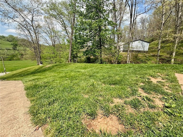view of yard