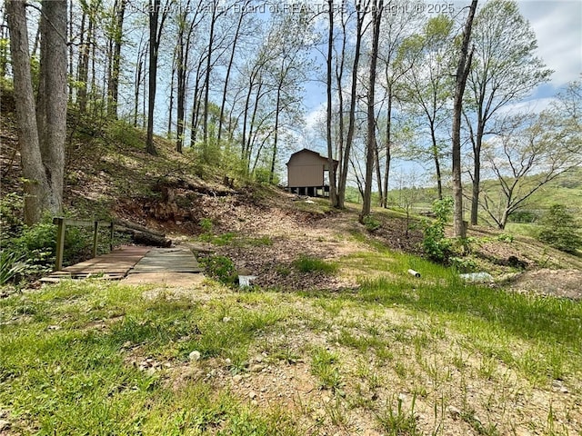 view of yard with an outdoor structure