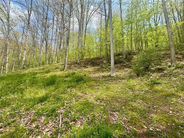 view of nature with a forest view