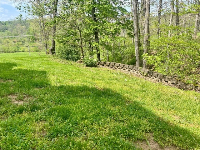 view of yard featuring a wooded view