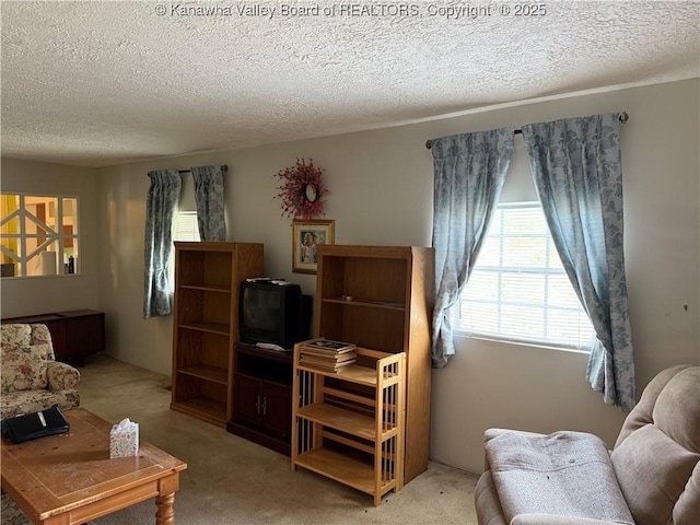 living room featuring a textured ceiling and light colored carpet