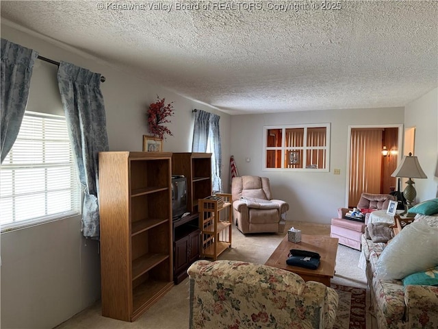 living area with a textured ceiling and light carpet