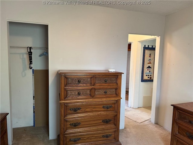 bedroom featuring light carpet