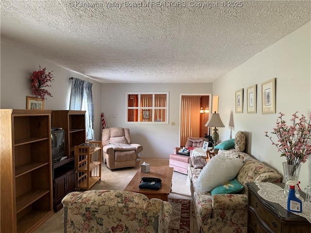 living area with a textured ceiling and light carpet