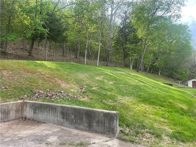 view of yard