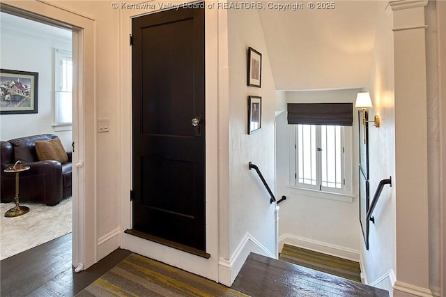 entryway with baseboards and dark wood finished floors