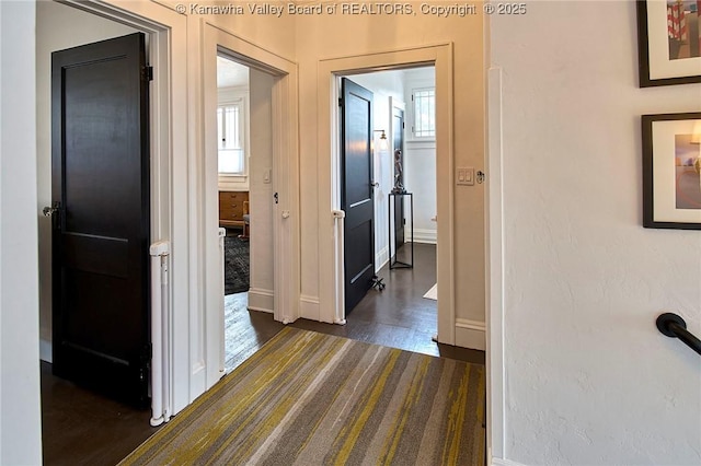 corridor featuring baseboards, dark colored carpet, and dark wood finished floors