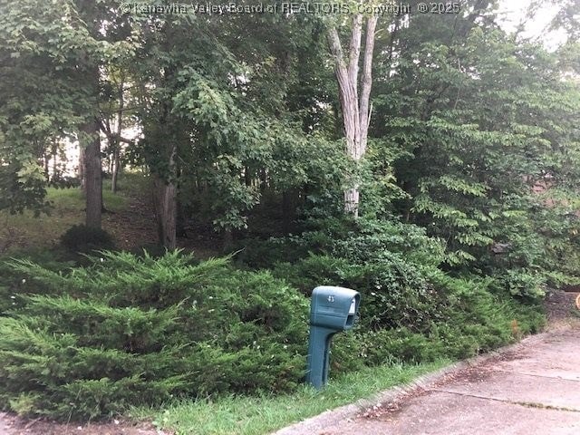 caption unavailable