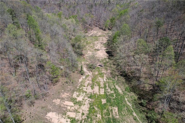 139 9 Mile Rd, Wv, WV 25540 - photo 30