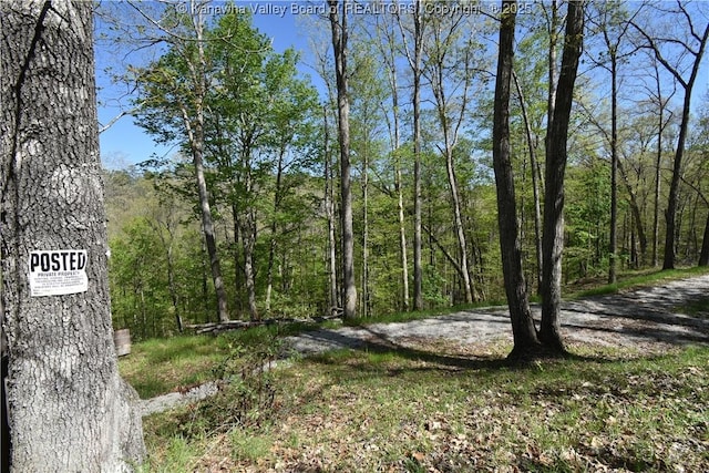 view of local wilderness featuring a wooded view