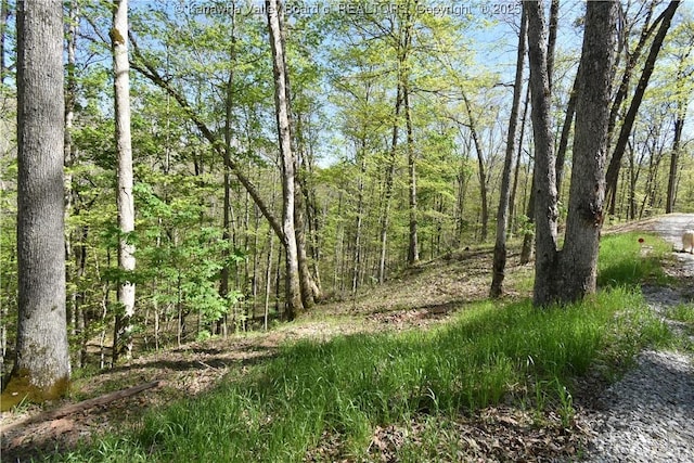 view of landscape with a forest view