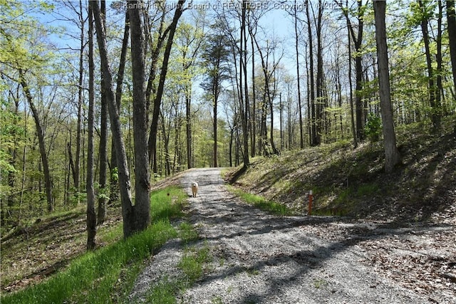 view of road featuring a view of trees